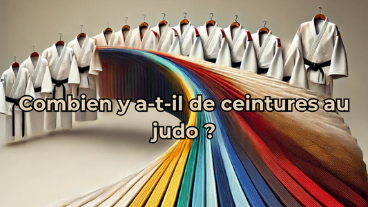 Combien y a-t-il de ceintures au judo ?