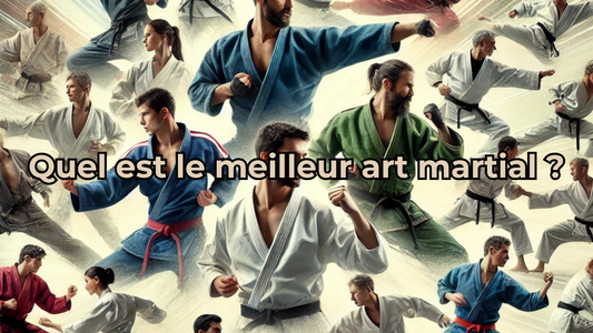 Quel est le meilleur art martial ?