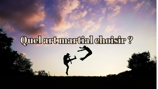 Quel art martial choisir ?