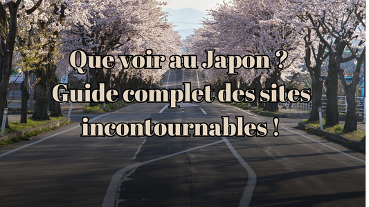 Que voir au Japon ?