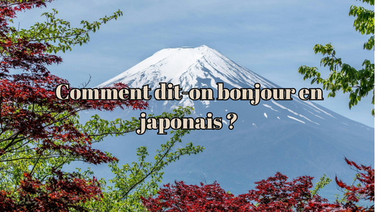 Comment dit-on bonjour en japonais ?